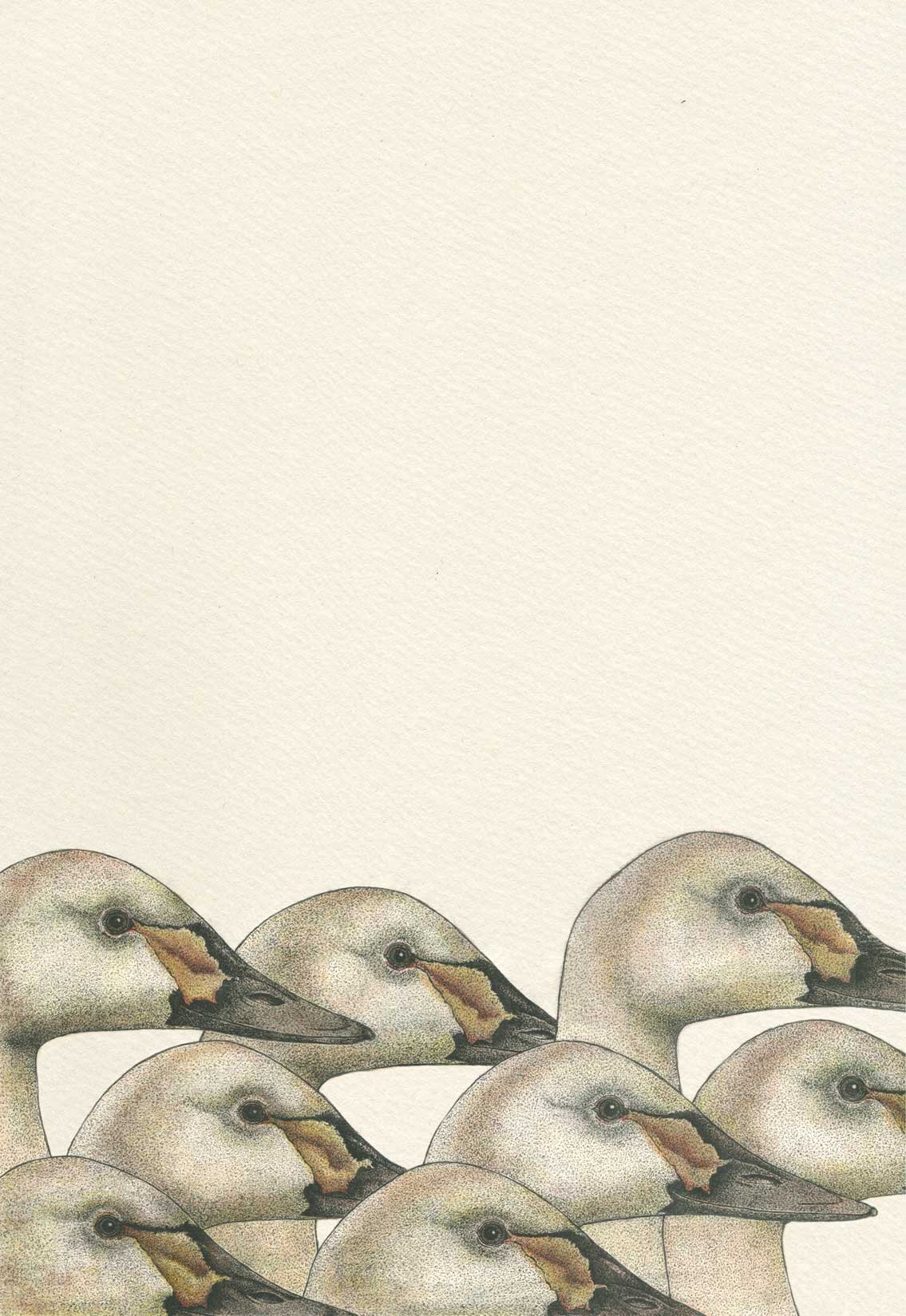 birds-Tundra-swans-british-artist-Anna-Vialle-negative-space-ink-watercolour-walnut-frame-contemporary-art-original-art-Yorkshire-gallery-Hope-Gallery