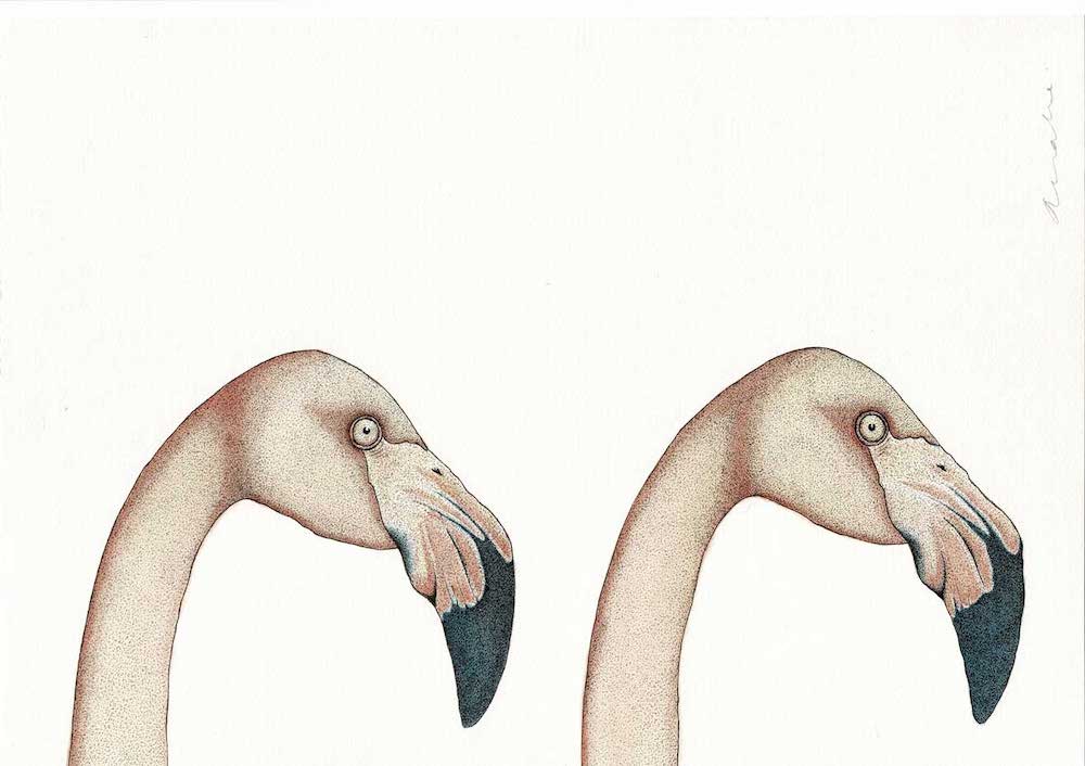 Flamingos- Anna Vialle